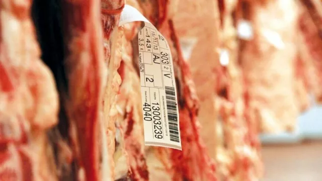 Un semestre con exportaciones de carne a la baja (US$ 189 millones y 256.000 cabezas de ganado menos que 2019)