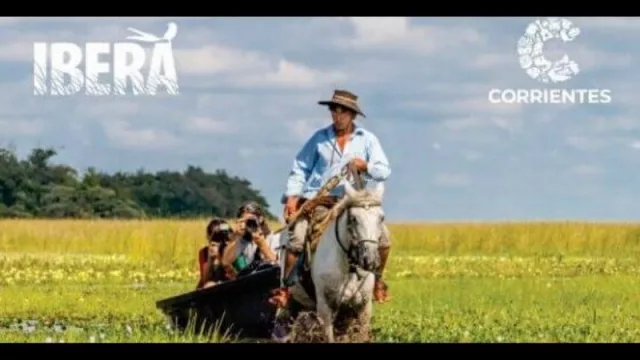 Se realizó el “Encuentro Comercial - Corrientes 2020” evento con rondas de negocio e implementación de marketplace