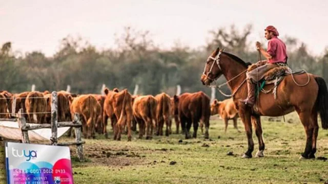 El Nuevo Banco del Chaco lanza “Tuya Rural” como herramienta financiera para el campo
