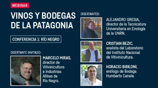 4 conferencias virtuales de vinos y bodegas de Río Negro, Neuquén, Chubut y La Pampa