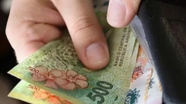 En el NEA, los ingresos per cápita de hogares es un 40% menor que el promedio nacional