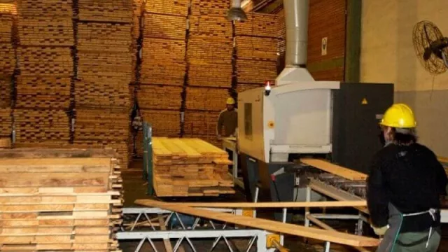 Una empresa de La Cruz (Corrientes) realizó su primer embarque de madera seleccionada hacia Uruguay