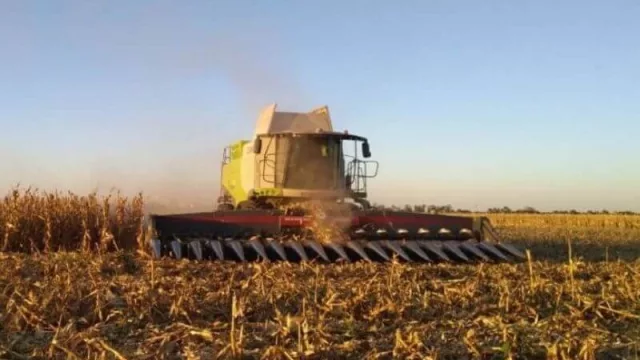 En el Sudoeste de la provincia del Chaco la soja tuvo un buen rendimiento y se espera lo mismo para el maíz