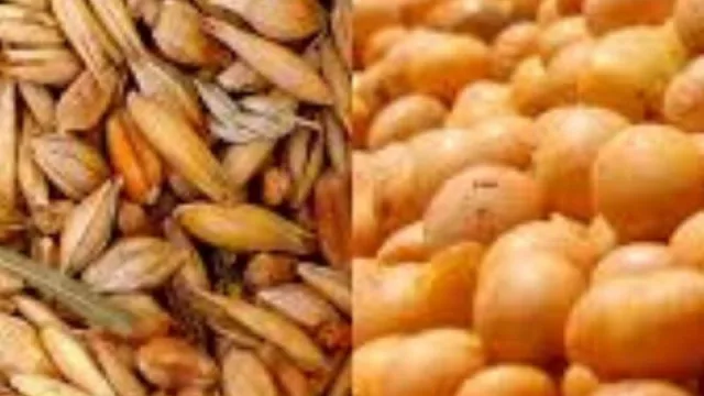 La actualización de las labores que remite semanalmente la Bolsa de Cereales porteña deja algunos datos muy interesantes