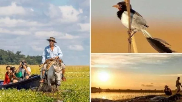 Corrientes prevé mayor potencial para el turismo de naturaleza en un escenario post pandemia