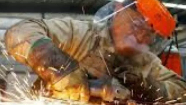 Gestionan créditos con tasas diferenciales para el NEA y NOA