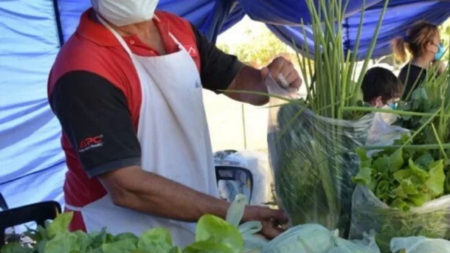 Alimentos chaqueños a precios promocionales toda la semana en el “Punto de todos”