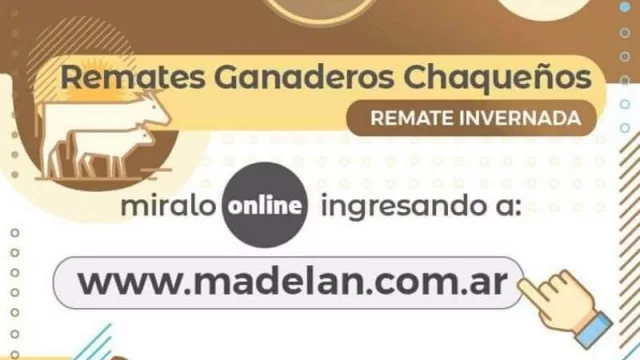 El gobierno del Chaco realiza hoy el primer Remate Ganadero a través de una plataforma virtual