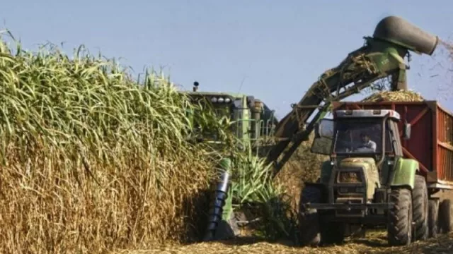 Claves para un año exitoso en la industria azucarera de Tucumán frente a la pandemia 