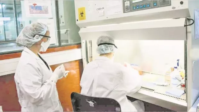 Respiradores, reactivos y bolsas mortuorias: cuánto gastó el Gobierno desde que llegó el coronavirus