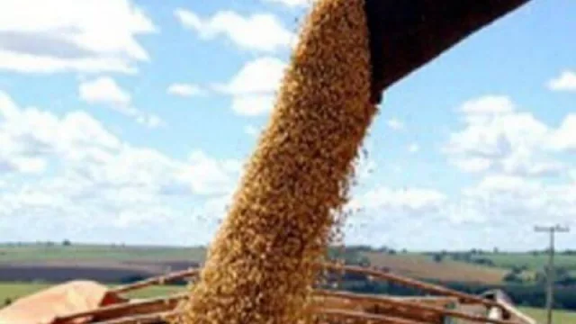 El Ministerio de la Producción del Chaco estima que la producción de granos ronde los 5 millones de toneladas al final de la cosecha