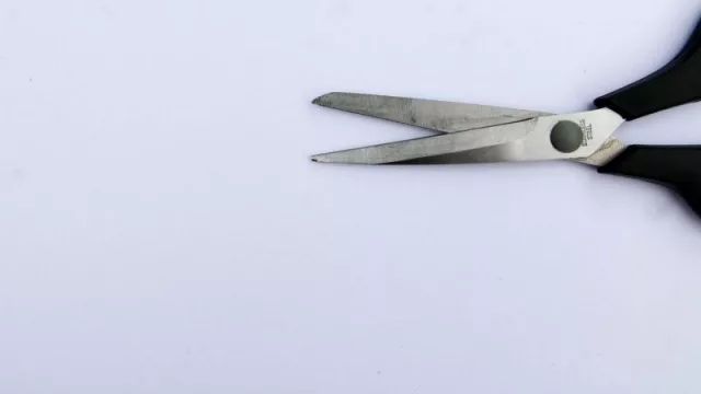 Recortes al salario público en Paraguay: economista recomienda eliminar cargos innecesarios