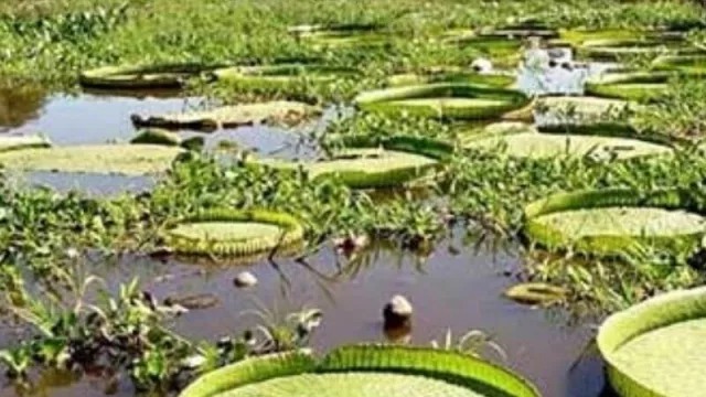 Distintas regiones del país se suman a la decisión de Nación de evitar la circulación de personas durante el fin de semana largo