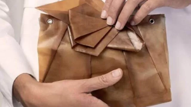 Una tela generada con microorganismos de la yerba mate (similar al cuero), creada por la genetista misionera Verónica Bergottini