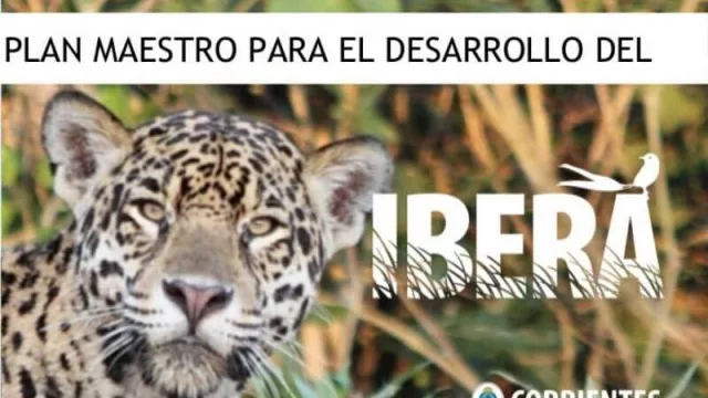 La situación actual del Plan Iberá 2: obras a un 90% y proyecciones de la fase 3 del programa (que demanda $ 600 M de inversión)
