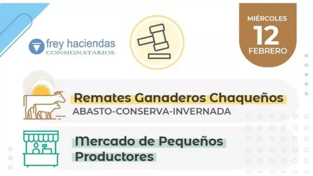 Llega el primer remate ganadero del año a la Sociedad Rural de Margarita Belén (con productores de hasta 250 cabezas de animales de varias categorías)