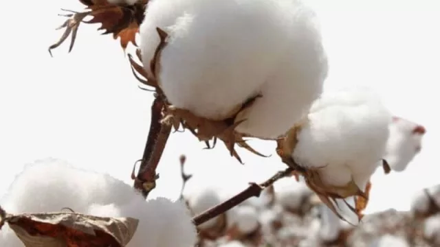 Se rubricó un convenio con el INTA para la confección del mapa de suelos del Chaco (clave para el desarrollo agrícola, ganadero y forestal)