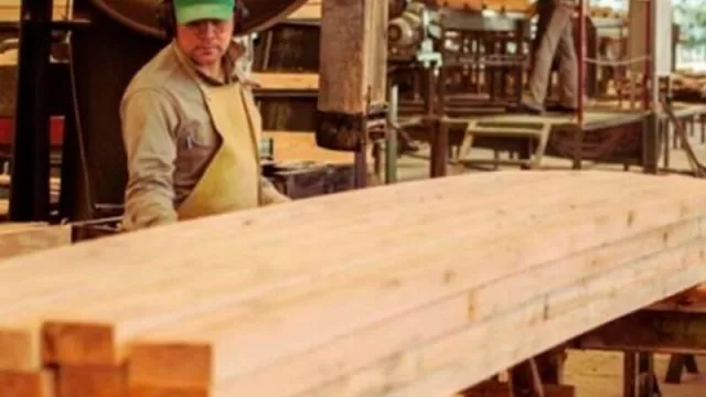 Fortalecimiento del sector maderero de Corrientes (convocatoria nacional y financiamiento del BID)