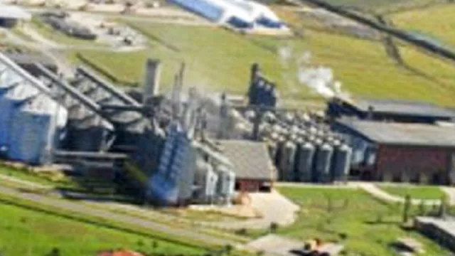 El 2019 fue un año de crecimiento en Industria, Trabajo y Comercio para la provincia de Corrientes