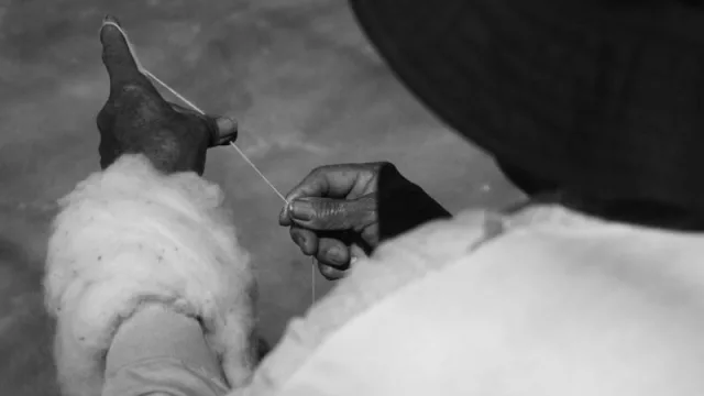 Agricultura familiar: productos jujeños llegan a Estados Unidos, Australia y España 