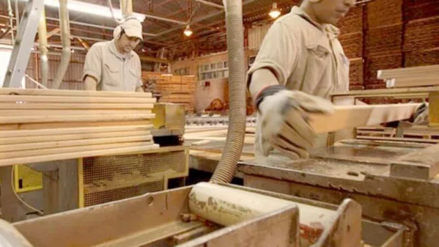 Corrientes muestra avances en el desarrollo de la industria forestal