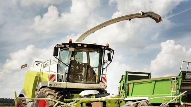 Lluvia bendita: las precipitaciones en el sudoeste chaqueño mejoran las condiciones de la agricultura