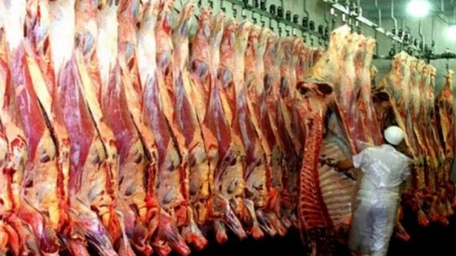 Reabrió en Corrientes un frigorífico que estuvo 9 años inactivo (y Valdés le “pasó factura” a Alberto Fernández)