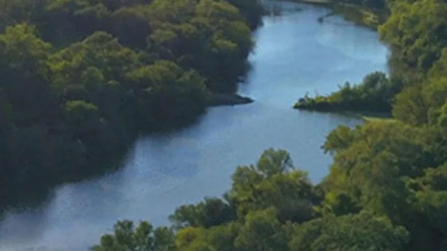 Fundación Vida Silvestre y 54 organizaciones más unen fuerzas para salvar el Gran Chaco