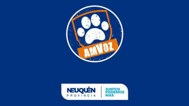 La aplicación de desarrollo local AmVoz fue premiada a nivel nacional 