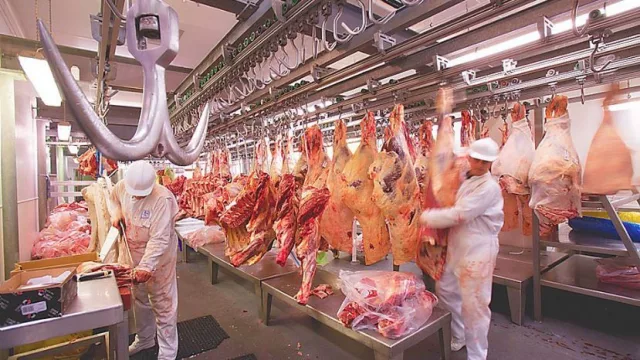 China autorizó a exportar a otros ocho frigoríficos de carne vacuna argentina