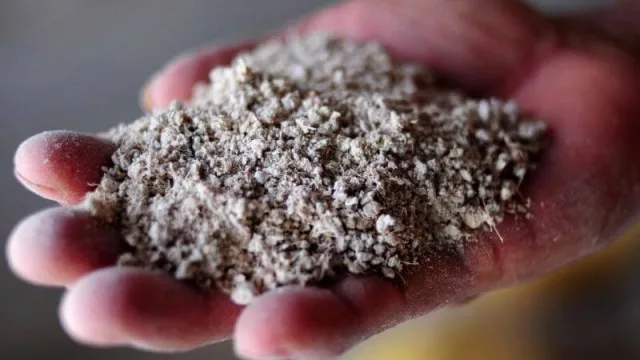 Garay visitó la planta de almidón de Puerto Esperanza y asegura que comenzarán la producción en pocos días