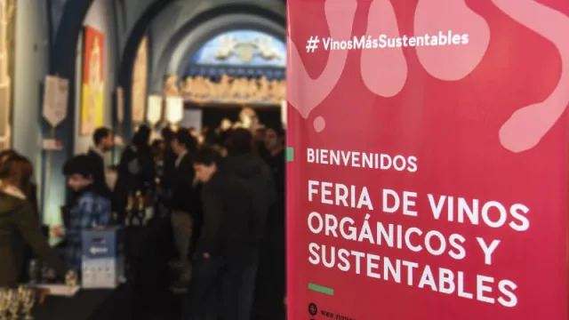 Orgánicos y biodinámicos: los vinos que están cambiando el mercado (el 95% de la producción se exporta)