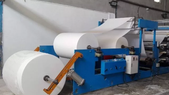 US$ 3.000 millones: la inversión requerida para la instalación de una pastera en Corrientes