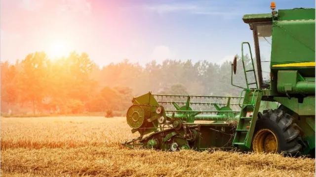 Cosecha récord: elevan a 147 millones de toneladas la producción