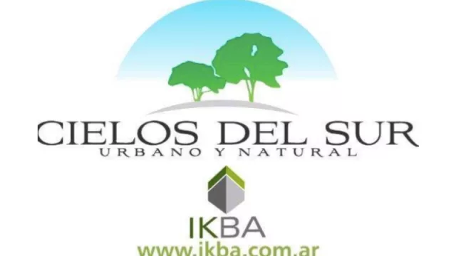 Cielos del Sur, infierno de todos: tramitan el concurso preventivo de IKBA SA 