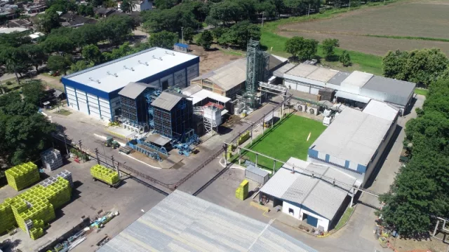 Producción de aceites esenciales de Ledesma: en su primer año, superó las expectativas