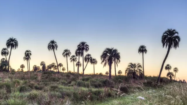 Buenas noticias para el turismo entrerriano: llega la promoción “Feria de Escapadas” (durante todo Junio)