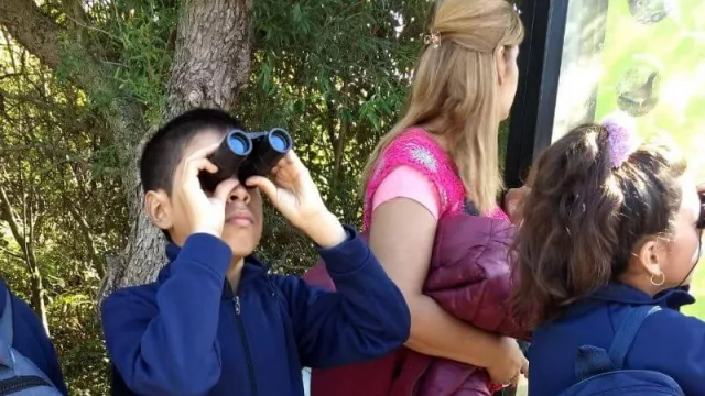 Latam invita a escuelas públicas de Iguazú al programa "Todos podemos Volar" (cierra el 31 de mayo)