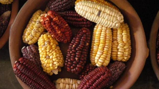 Jujuy invita al 1° Congreso Internacional de Cocina Tradicional y al Inti Raymi, con el 4° Festival Gastronómico Andino