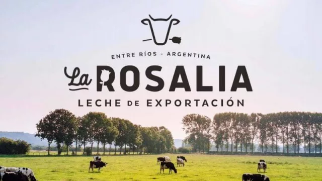 Instalan paneles solares y cámaras online real time en… ¿un tambo?