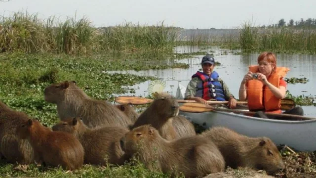 Con un préstamo de US$ 4 millones del BID, Estero del Iberá comienza a adecuar su infraestructura