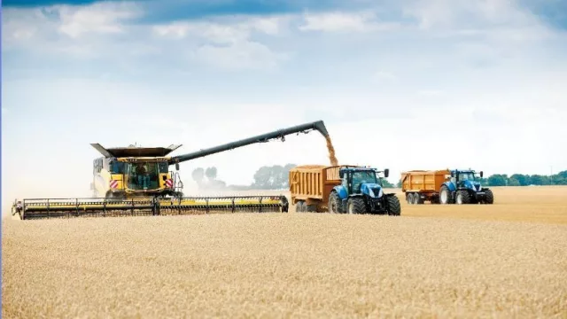 La cosecha de soja se devaluó cerca de u$s 1600 millones desde enero