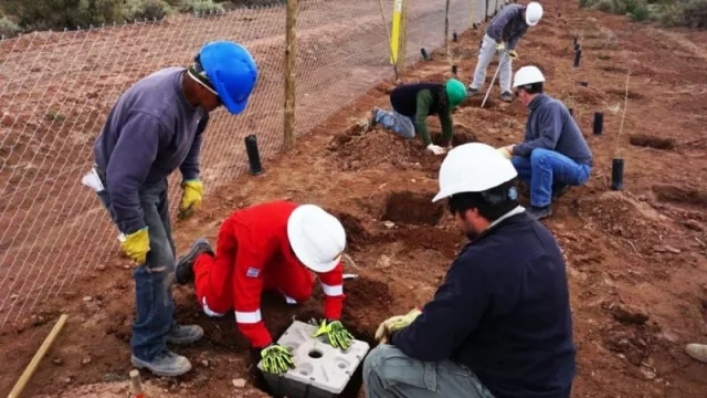 Cuando hacer las cosas bien reditúa: Halkis y su compromiso con los programas de Responsabilidad Social Empresarial para la industria petrolera