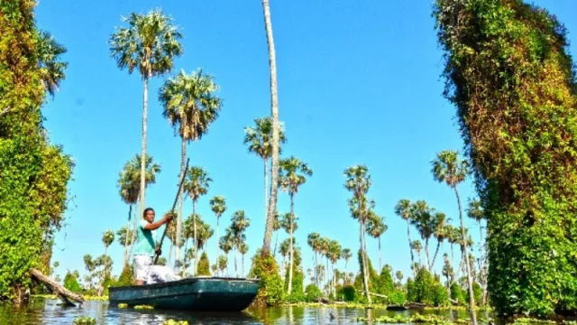 La Selva Misionera y Bañado la Estrella entre las 7 Maravillas Naturales de la Argentina (por qué es un antes y después para la región)
