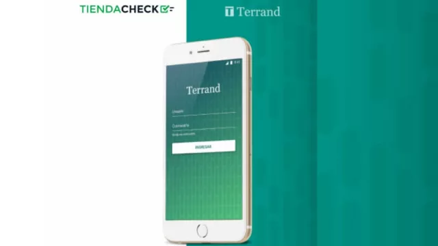 Terrand Audits consolida su servicio “Tienda Check” en Argentina y lo exporta a Europa (cuidado de marca y control de franquicias)