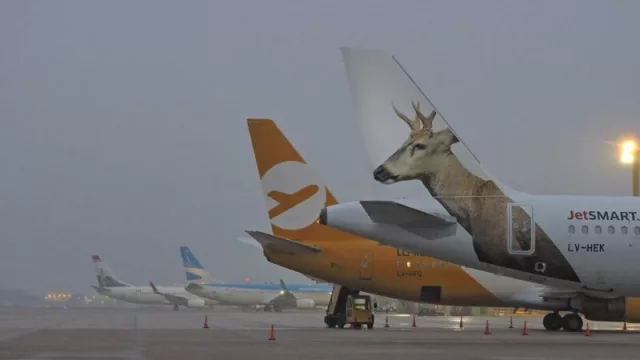 La “Revolución de los Aviones” pierde aviones: 4 máquinas menos por el efecto Max 8 (y no sólo eso)