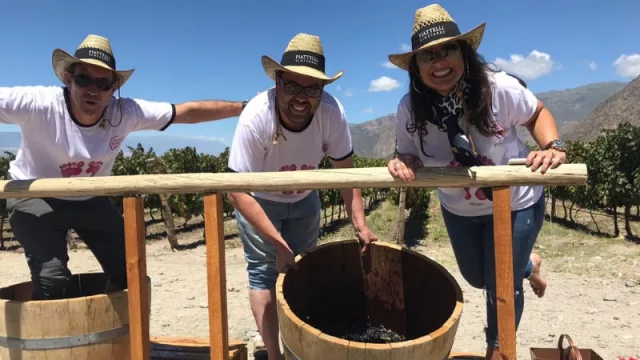 Enjoy the harvest: disfrutar de la experiencia de la Vendimia en Cafayate