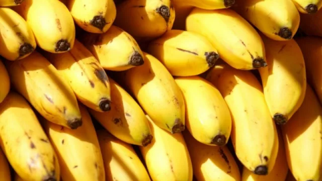 Una de cal y otra de arena: la siembra en Chaco disminuyó un 25%, pero Formosa cosechará 45.000 toneladas de bananas