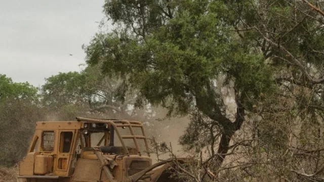 Tiempos desesperados requieren medidas desesperadas: por las inundaciones (y denuncias de clandestinidad), Peppo suspende el desmonte en la provincia