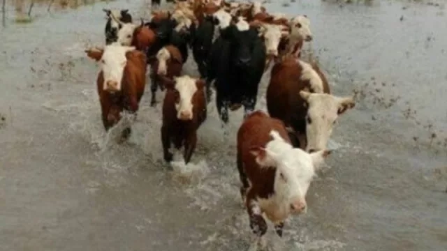 “La situación sigue siendo crítica”: Desde el gobierno afirman que las mejores climáticas no alcanzan para revertir la emergencia hídrica en Corrientes